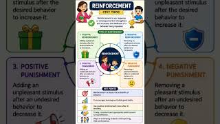 Reinforcement in Learning 🌟| CTET CDP Quick Revision | Easy Concept & Examples #shorts #yt #fyp