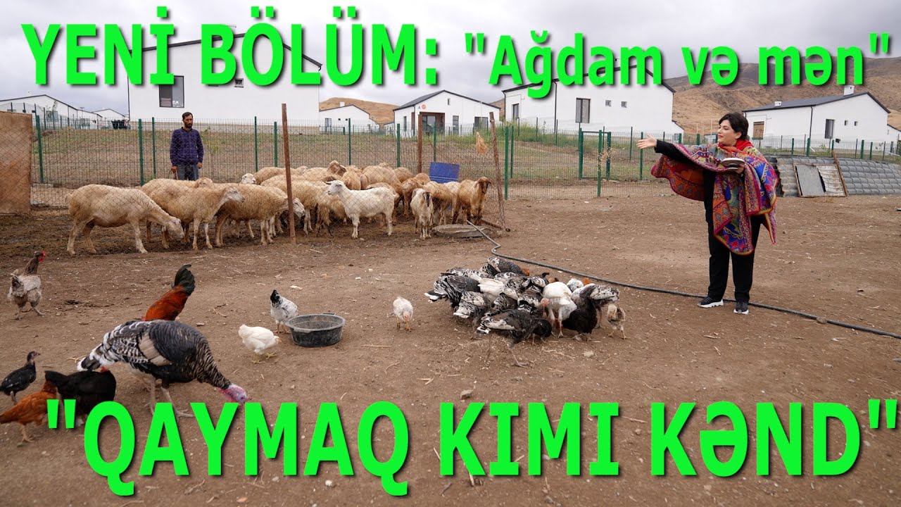 YENİ BÖLÜM: 