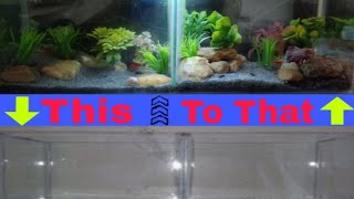 Separated Betta tank setup in forest theme | separated Betta tank setup #bettafish #bettatank #fish