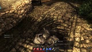 Risen (PC): Dialog/Shop Menu Glitching