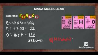 Masa Molecular No  3