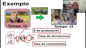 Curso Cálculo Numérico - Modulo 08 - Aula 15 - Problema Presa-Predador: Método de Euler