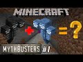 Minecraft Mythbusters 1 | Two withers at same place