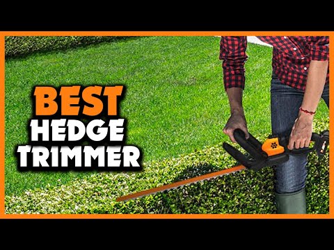 10 Best Pole Hedge Trimmers for 2023 - The Jerusalem Post