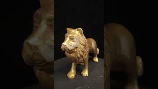 Lion For Power product video