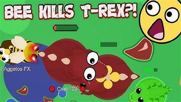 MOPE.IO | BEE KILLS 2 T-REXES?! + T-REX TROLLING + 1V1 PRO + HACKED MOPE SERVER + CROCODILE BIG KILL