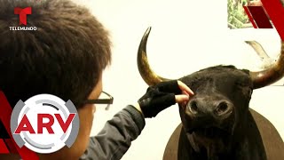 Un extorero narra cómo se convirtió en defensor de toros | Al Rojo Vivo | Telemundo