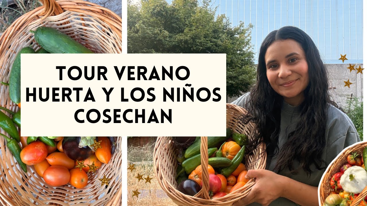 Tour huerta de verano y los niños cosechan #huerta 