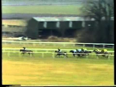 Horse Racing 1986 Peter Marsh Chase.avi