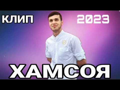 Лео хамсой. Leo Hamsoya. Leo (2023) Лео. Лео суруди хамсоя. Лео хамсоя 2023.