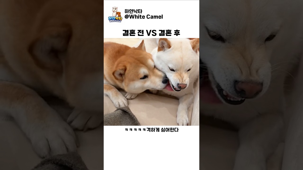결혼 전과 후
