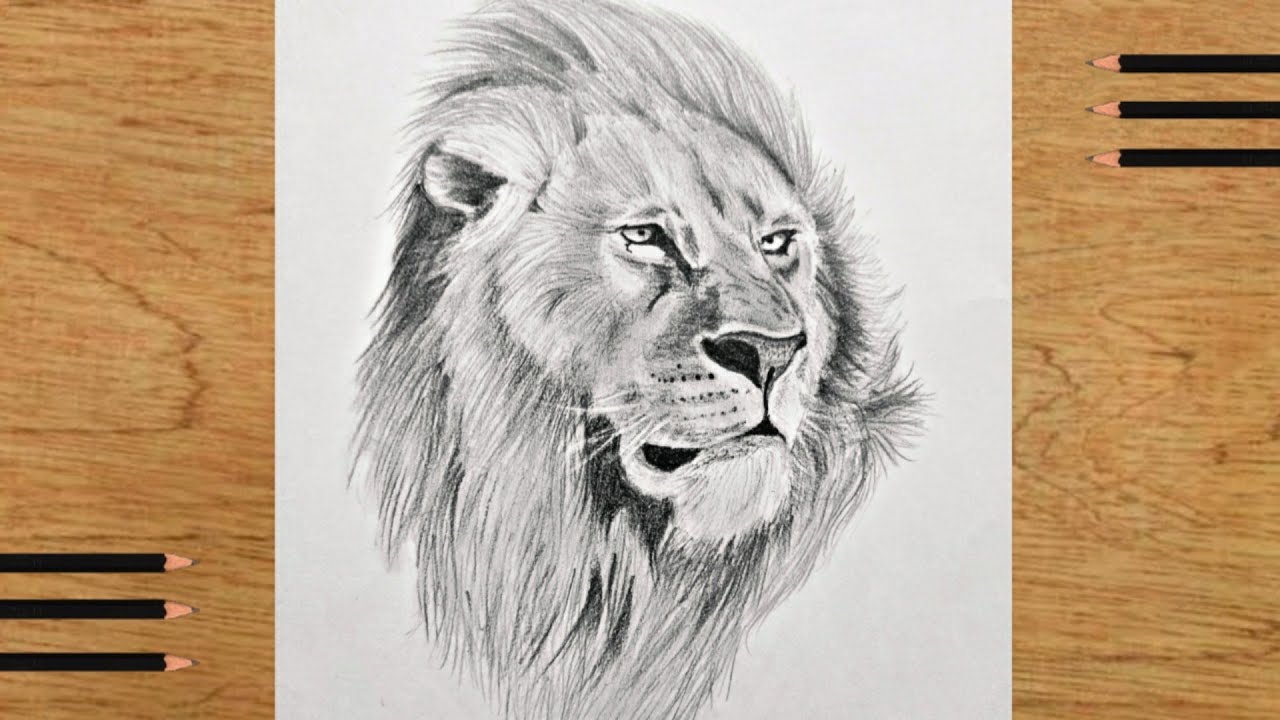 graphic drawing of a lion head with a large mane 22452675 PNG