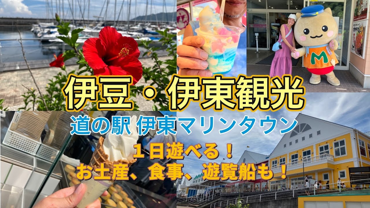 【伊豆・伊東観光】2024年8月/道の駅伊豆マリンタウン/１日遊べる！お土産、食事、遊覧船、日帰り温泉も！/マリにゃんのお散歩に遭遇♡/新鮮地魚のオススメのスーパーもご紹介！