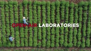 Beauty Uncovered Chapter 1: The Phytochemistry Department | Clarins
Where does your skincare actually begin? Not where youd expect.
In this episode, Sandrine, Active Director of Research in our Phytochemistry Department, takes you to the starting line. Our Domains in France arent just gardens. Theyre open-air laboratories where plants are grown using regenerative agricultural practices and studied for their skin-benefiting properties.
We study all kinds of species, including exclusive plants like Harungana, sourced from the hillsides of Madagascar. Each one is researched, tested, and refined over 24 months and 50 trials before it earns a place in a Clarins formula.
From leaf to lab to your skin. Made in France.
#ClarinsBeautyUncovered #ClarinsWeCare
Learn more on the official Clarins website http://www.clarins.com!
Subscribe for more videos from Clarins:
https://www.youtube.com/channel/UCIlyowg3Qc_WI4S6qRewgyA?sub_confirmation=1
Follow us!
TikTok: https://www.tiktok.com/@clarinsofficial
Instagram: https://www.instagram.com/clarinsofficial/
Facebook: https://www.facebook.com/Clarins/ Beauty Uncovered Chapter 1: The Phytochemistry Department | Clarins