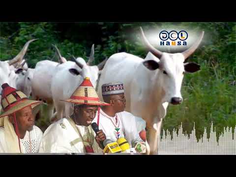 Ana Sace Wa Fulani Shanunsu A Jihar Benue In Ji Kungiyar Miyetti Allah