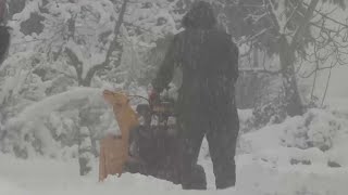 מהחרמון ועד לצפת: רמת הגולן והרי הגליל התכסו במעטה לבן