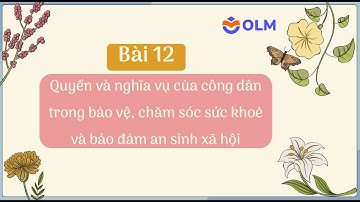 Quyền, nghĩa vụ của công dân trong bảo vệ, chăm sóc sức khoẻ, bảo đảm an sinh xã hội - GDKTPL12
