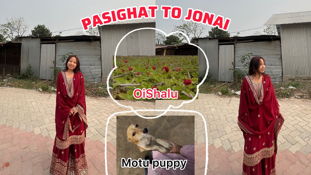 Chutti ka din me bhi rest nhi milta hai humluk ko 🥲// pta nhi kiu doggy luk ko meh hee pasand hu😁// 