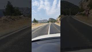 Abdullah Papur Resimi