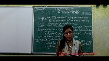 class 3 evs ch 7 animal world