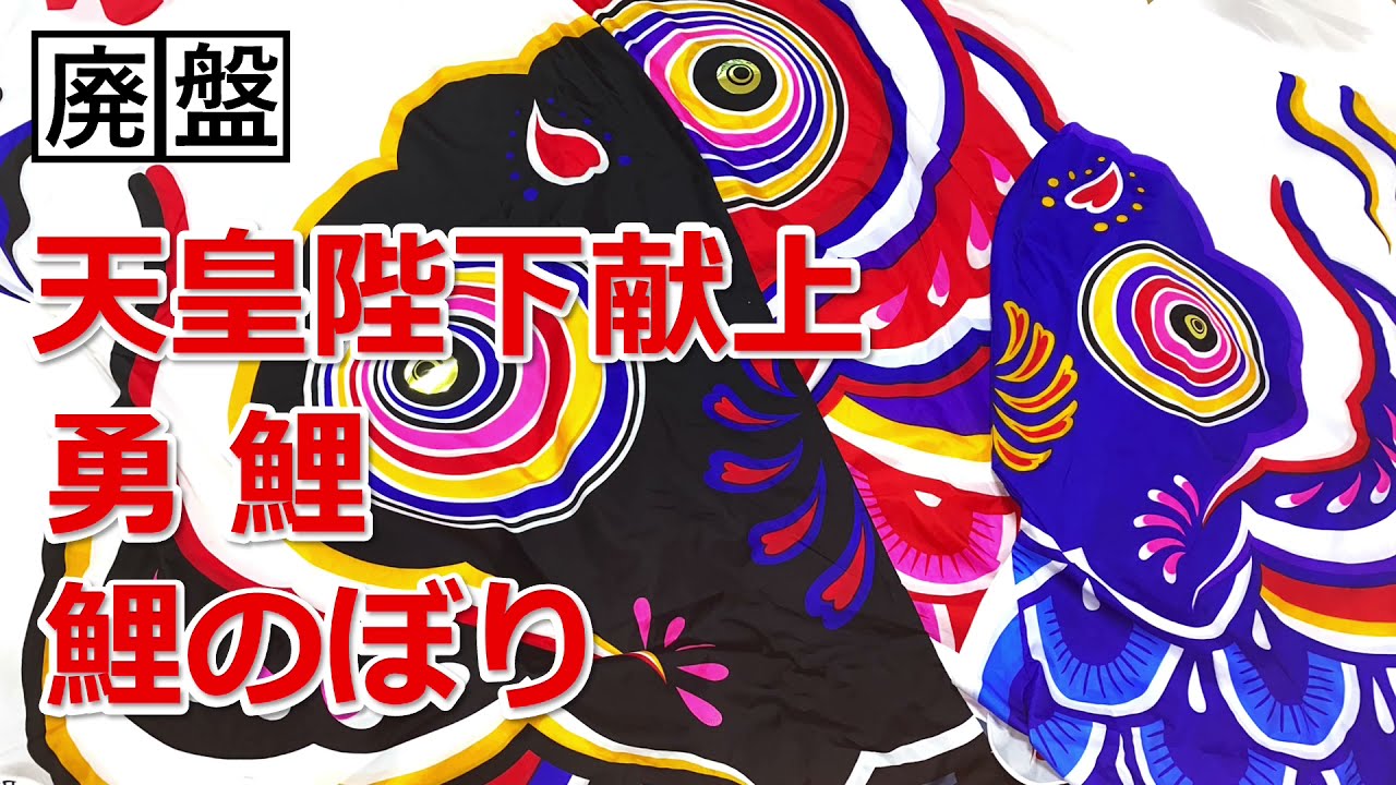 廃盤【勇鯉】鯉のぼり 第14弾 コレクション紹介動画 - YouTube