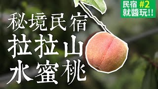 【台灣民宿就醬玩#2】拉拉山秘境民宿?!現採水蜜桃現吃!?｜桃園 ...