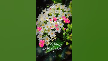 تلاوة خاشعة عطرة مباركة جميلة عذبة للشيخ خالد الجليل ماتيسر من سورة الأحزاب