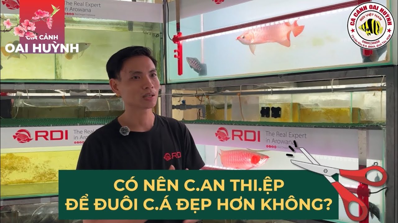 Có nên CAN THIỆP DAO KÉO để bé C.Á RỒNG đẹp hơn không ?