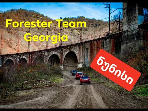 Forester Team Georgia-ნუნისის ექსპედიცია/FTG-Nunisi Expedition