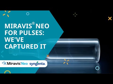 Miravis® Neo For Pulses: We've Captured It
