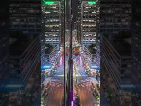 يا سلام الوايلي حالات واتس