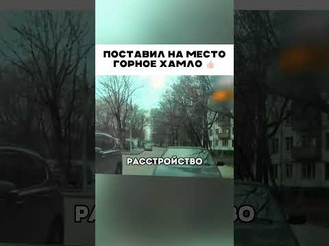 Горное хамло угомонил 😱 👍🏻