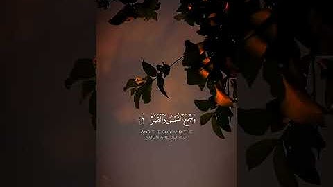 اكتب شيء تؤجر عليه يوم القيامة 😴❤️#قران_كريم #اللهم_صل_وسلم_على_نبينا_محمد #ارح_قلبك #آيات_الرحمة