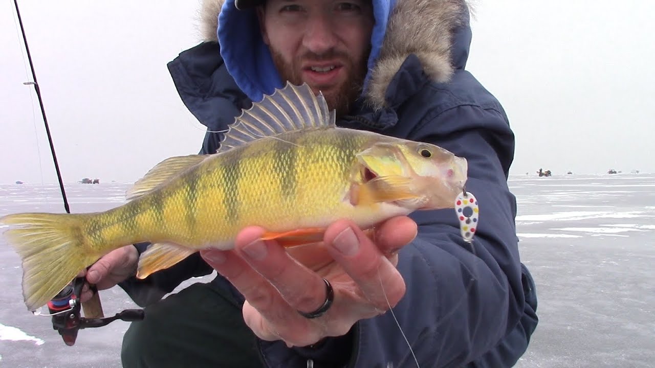 SHEEPHEAD  Beatdown on Lake Winnebago
