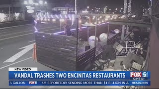 Video shows vandal trashing two North County restaurants