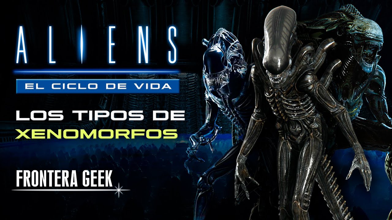 TIPOS DE ALIENS | El CICLO DE VIDA y los Tipos de XENOMORFOS - ALIEN, Evolución y Clases