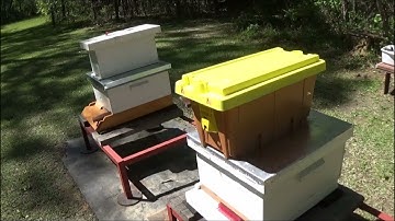 Installing 1 of 2 Nucs into a ten frame single box.