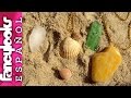 DIY Colgantes con tus "tesoros" de la playa-Sea glass and shell pendants