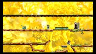 Braid mod Nova 3-4