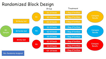 Randomized Block Design Video - Julius