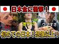 【海外の反応】外国人夫婦が初めての日本で驚愕の連続!究極の東京バケットリスト