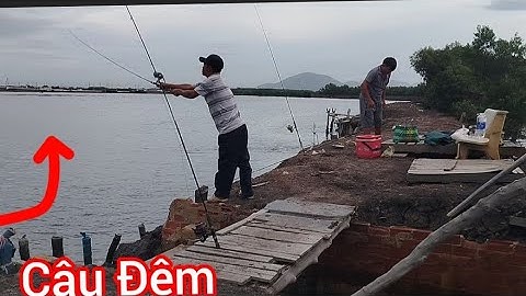 Câu Đêm ở Đùng Tôm/ Ngày Cuối Nước / Câu cá Tráp ( Hanh) Câu cá thiên nhiên