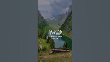 ‏{رَبَّنَا هَبْ لَنَا مِنْ أَزْوَاجِنَا وَذُرِّيَّاتِنَا قُرَّةَ أَعْيُنٍ} القارئ #سعد_الغامدي