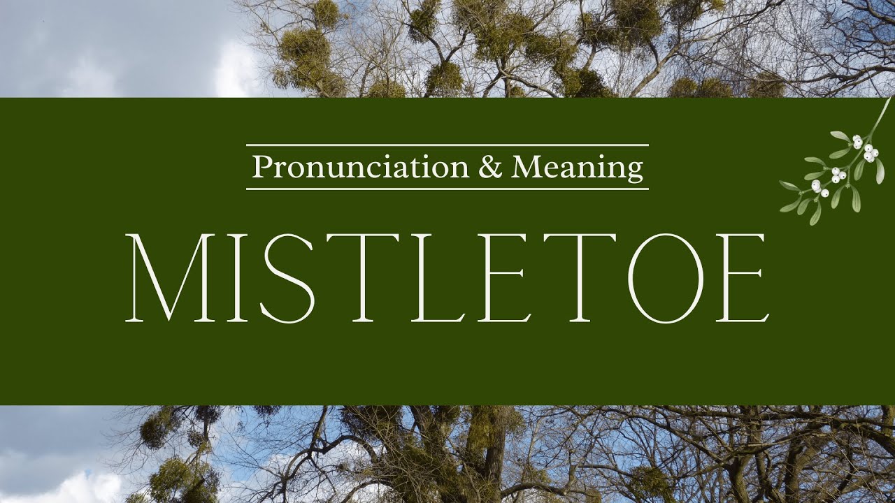 Как произносится: Омела | Британское произношение и значение