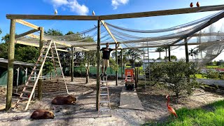 AVIARY Construction Pt. 2 - Framing & Mesh Setup!