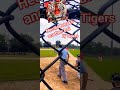 Hector breaks Bat. baseball #highlight #highlights #shortsfeed #shortsvideo #shorts #short ⚾️