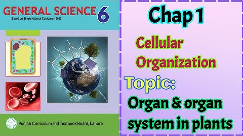 Class 6 Science Chapter 1|6 Class science | cellular organization |organ and organ system in plants