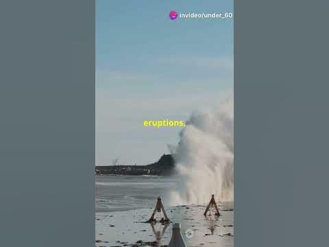 Tsunami hq