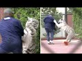 Mike Tyson and his Tiger