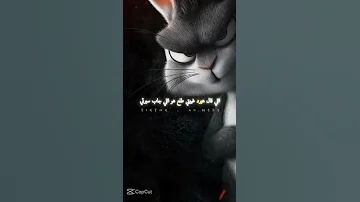 اوعى تقول فلان دا غرهم 